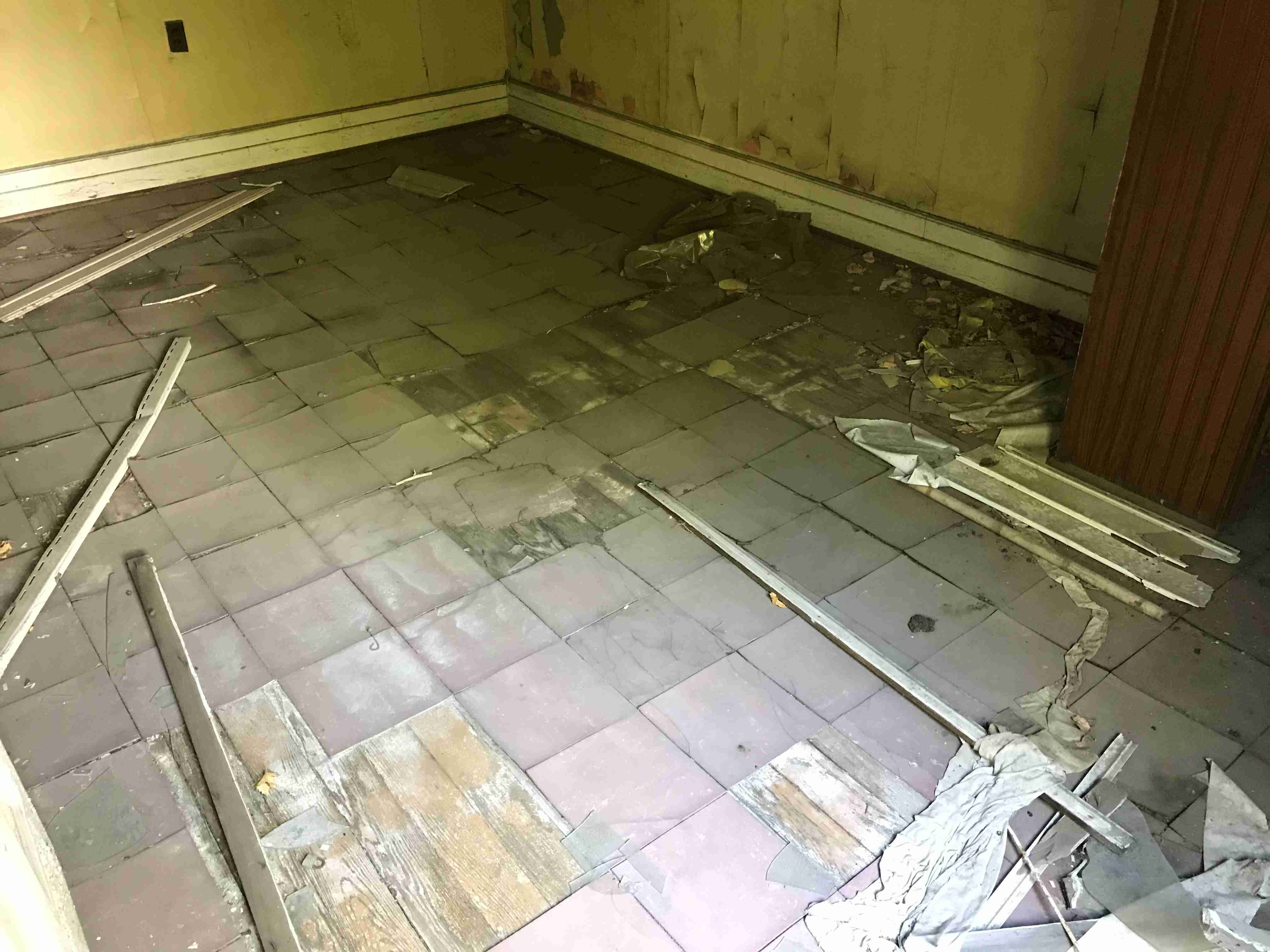 Photo Oct 13, 3 48 56 PM.jpg